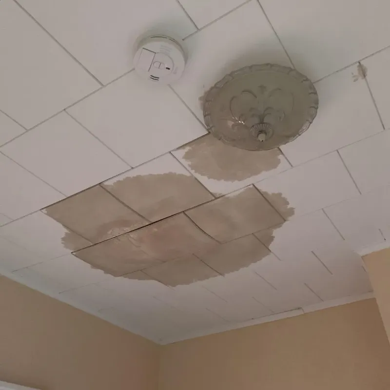 Ceiling Water Damage Repair in Morrisonville, IL