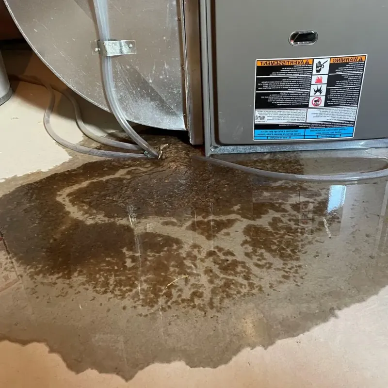 Pipe Burst and Leak Restoration in Morrisonville, IL
