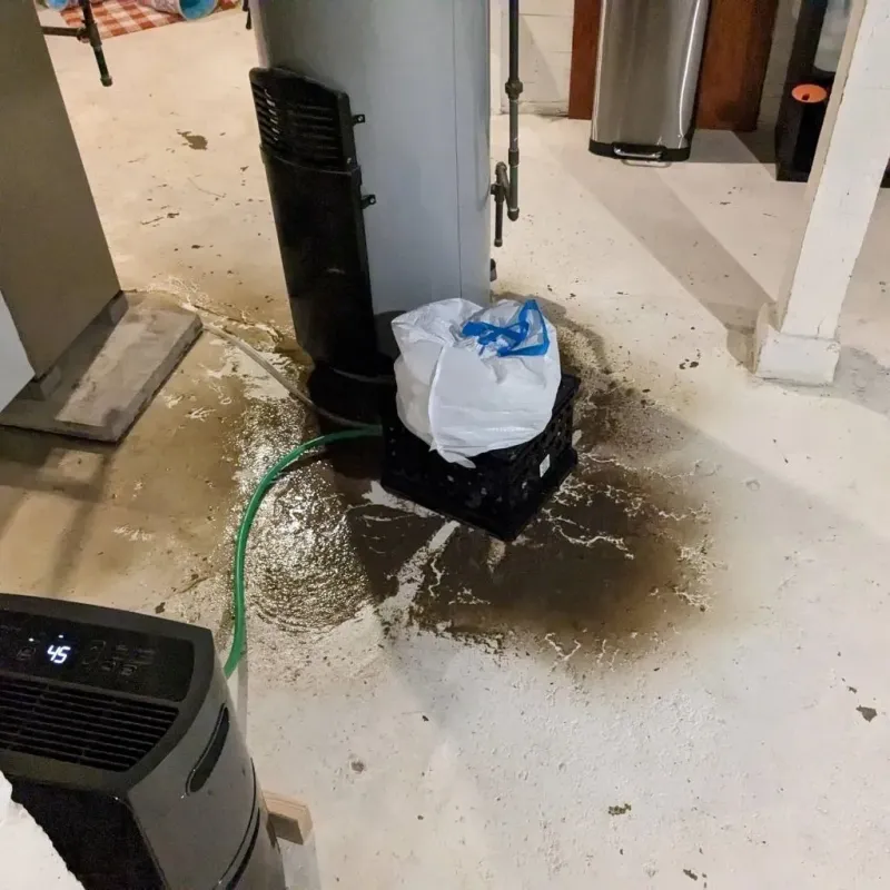 Sewage Backup Cleanup Service in Morrisonville, IL